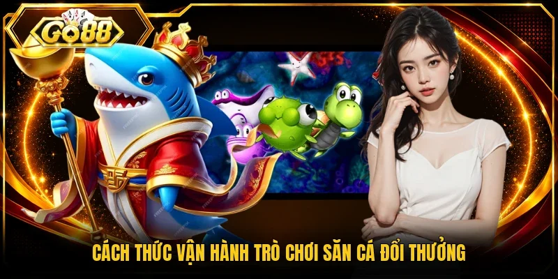 Cách thức vận hành trò chơi săn cá đổi thưởng