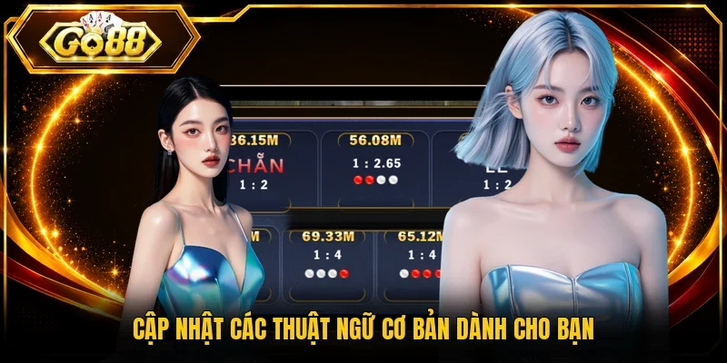 Cập nhật các thuật ngữ cơ bản dành cho bạn