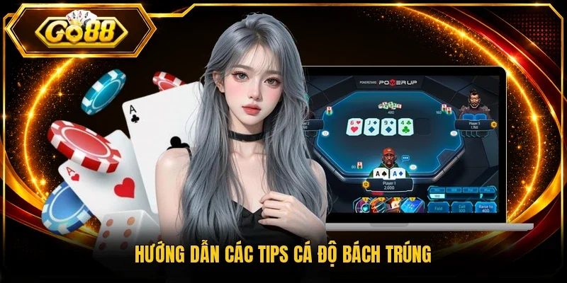 Hướng dẫn các tips cá độ bách trúng