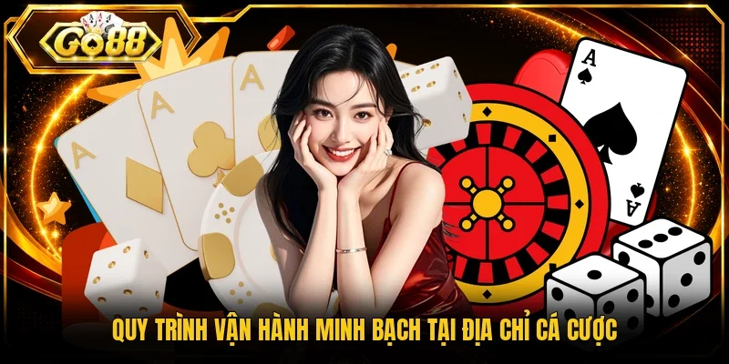 Quy trình vận hành minh bạch tại địa chỉ cá cược